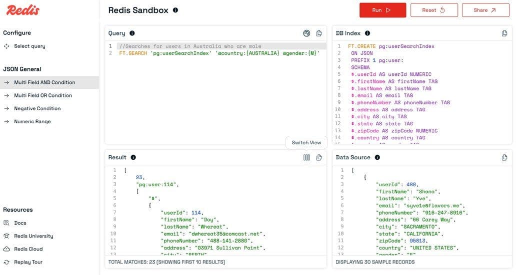 Results panel raw text output view