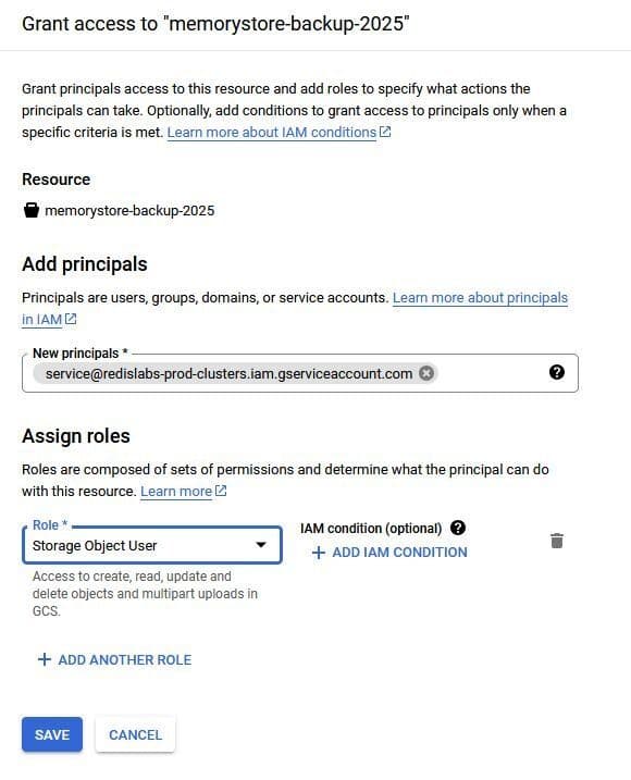 Google Cloud Grant Access principals and roles selection